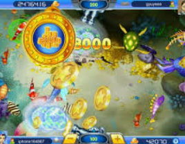 Bwin体育2024最新版